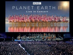 3b53bcad-8d0d-89c2-cd2d-fc109c59784b