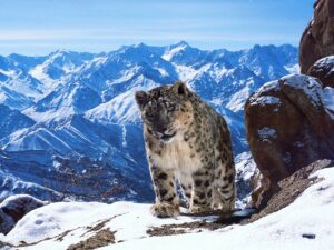 44c6eba4-2f6b-da4d-5b2c-e03b9f971b12