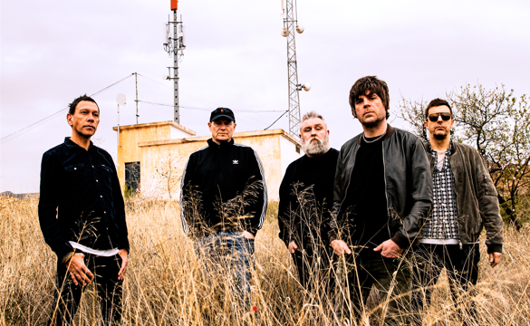 TOUR NEWS : SHED SEVEN ANNOUNCE 30TH ANNIVERSARY TOUR